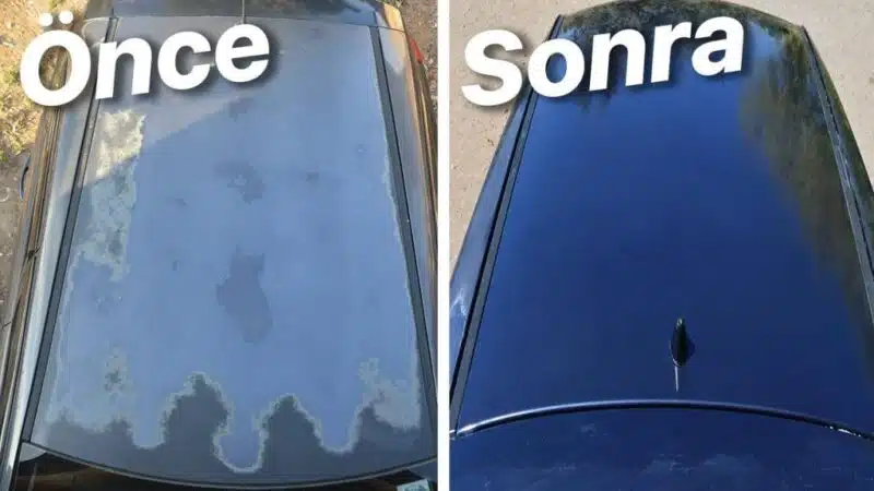 vernik nedir ne işe yarar