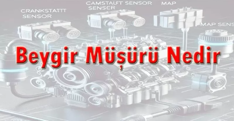 Beygir Müşürü Nedir ?