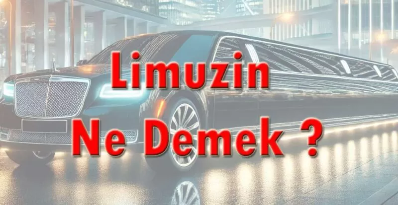 Limuzin Ne Demek