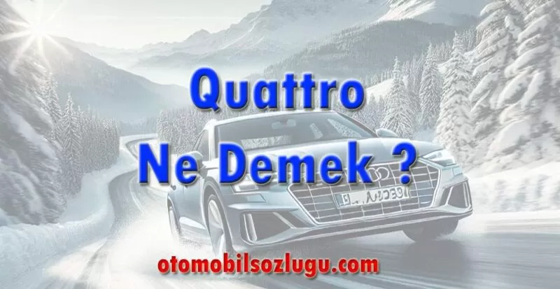 Quattro Ne Demek ?